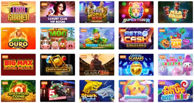 bigwinbet