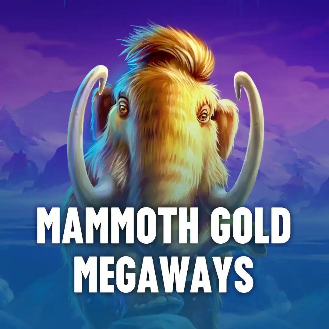 betboom dota 2