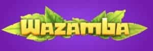 Blaze monster machines